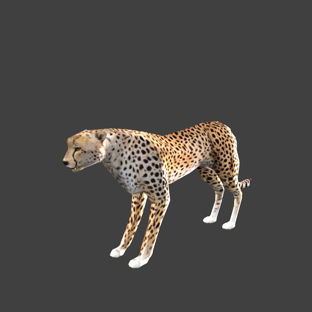 low poly cheetah with rig preview image 1